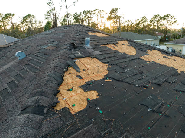 Skylights in Laguna Hills, CA